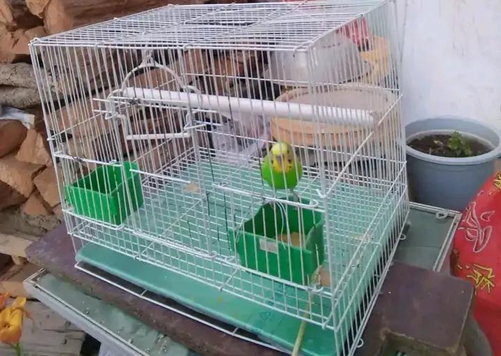 大学生去西藏支教的真实感受,真实的藏区支教