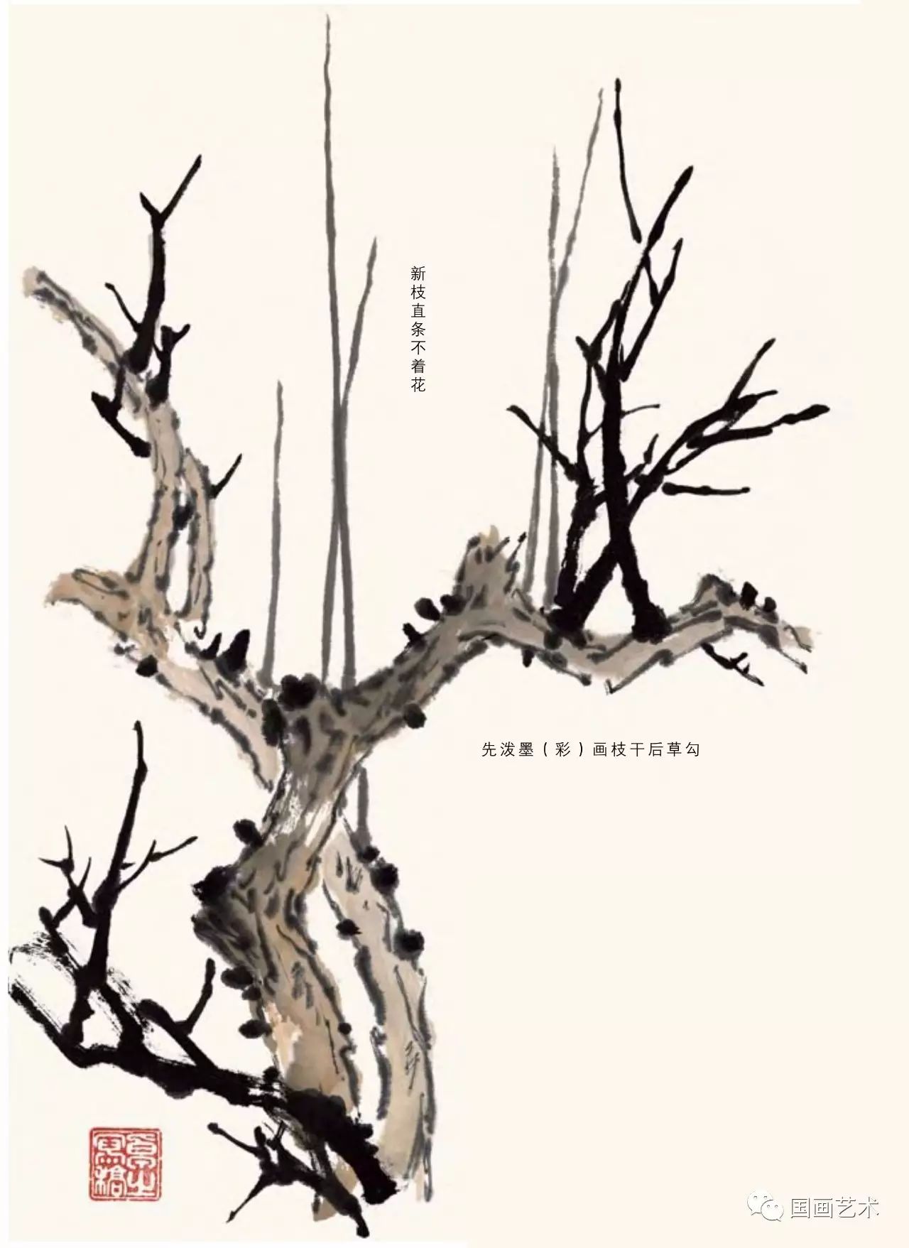 图文教程梅花,国画梅花的画法视频