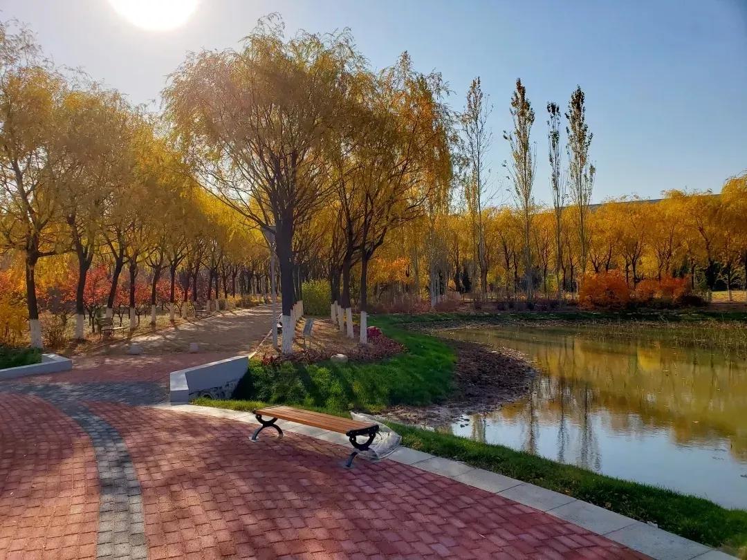 辽宁省普通高等院校（二十五）沈阳工程学院