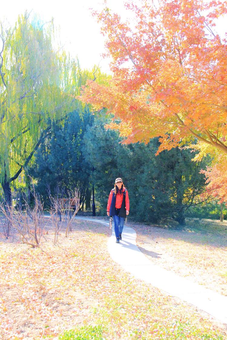 尼康入门单反,单反快速入门攻略