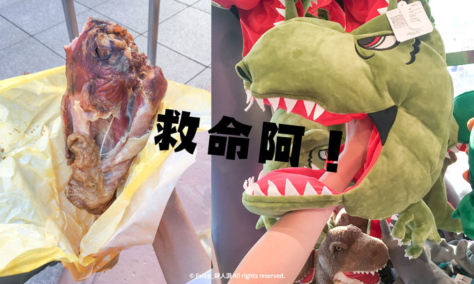 关西初游攻略丨奈良!京都!大阪!GO!USJ(下篇)