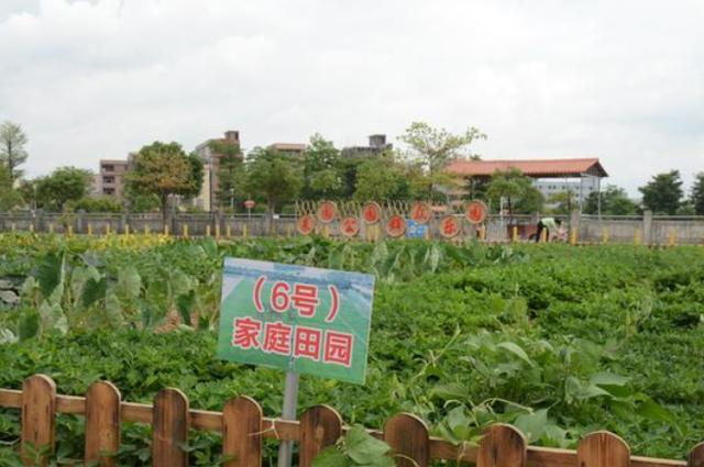 东莞一日游必去的地方横沥彩虹村,东莞彩虹村游玩攻略