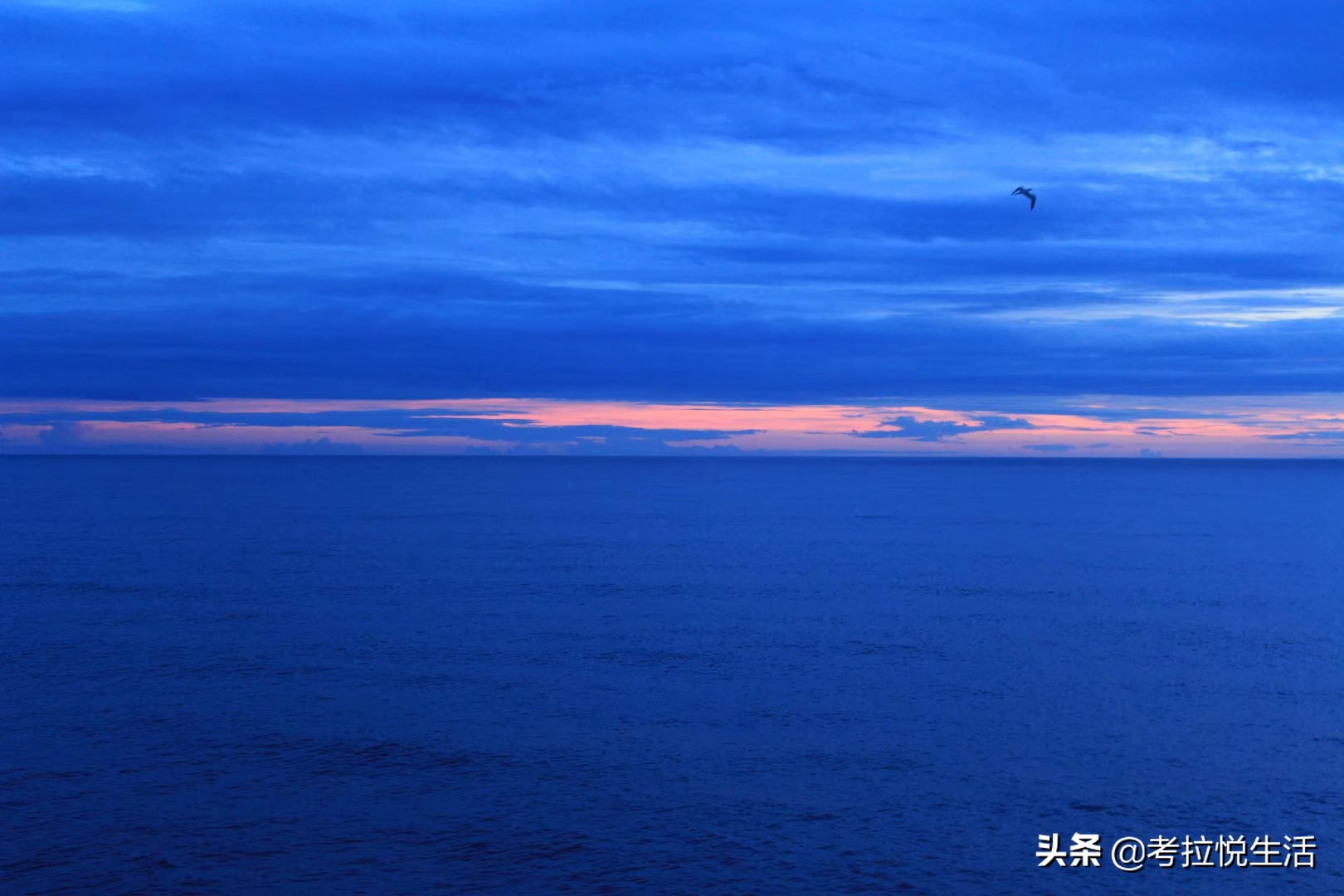 心中那片大海,心中那片海霞浦