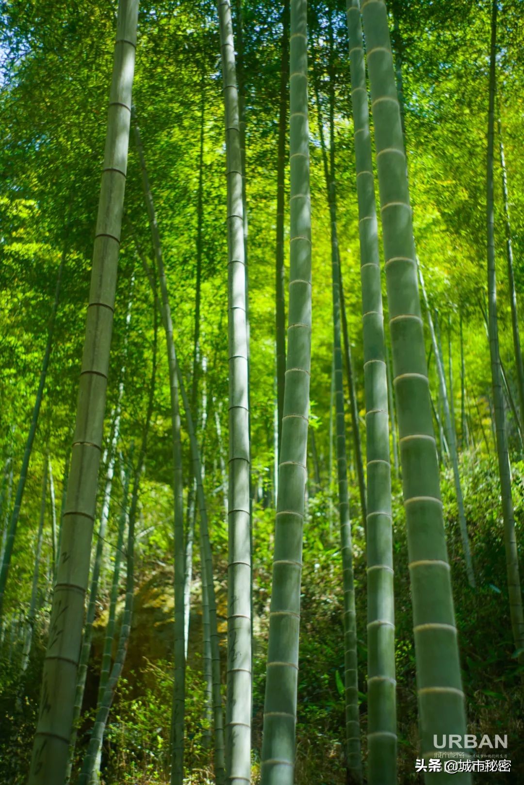 富阳是什么之乡,富阳原来属于哪个市