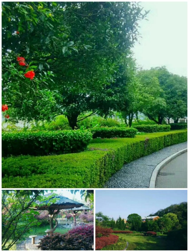 芙蓉国里尽朝晖三湘四水好风景,同升湖通程山庄大酒店还在营业吗