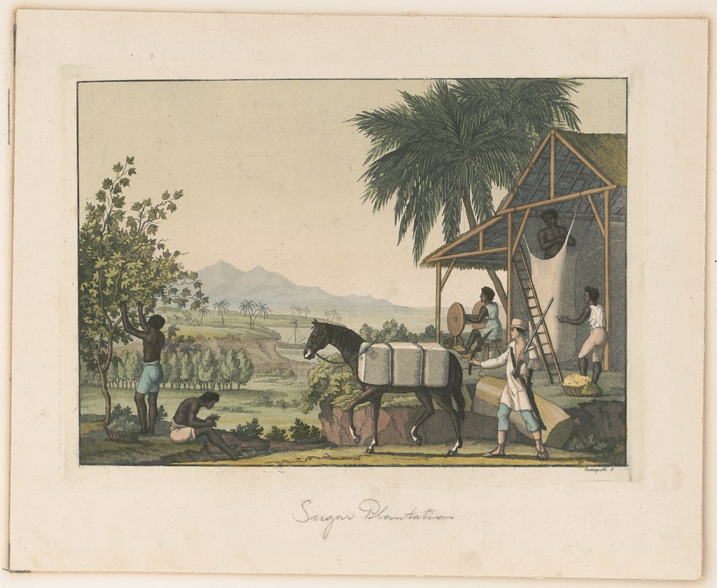 从奢侈品到日常调味：甜蜜的砂糖背后，是一段欧洲殖民与贸易史