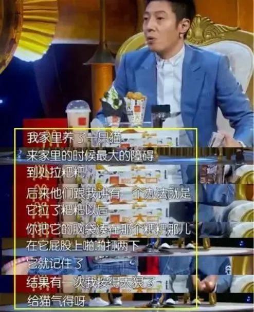 没想到,央视的名嘴们全都是猫奴