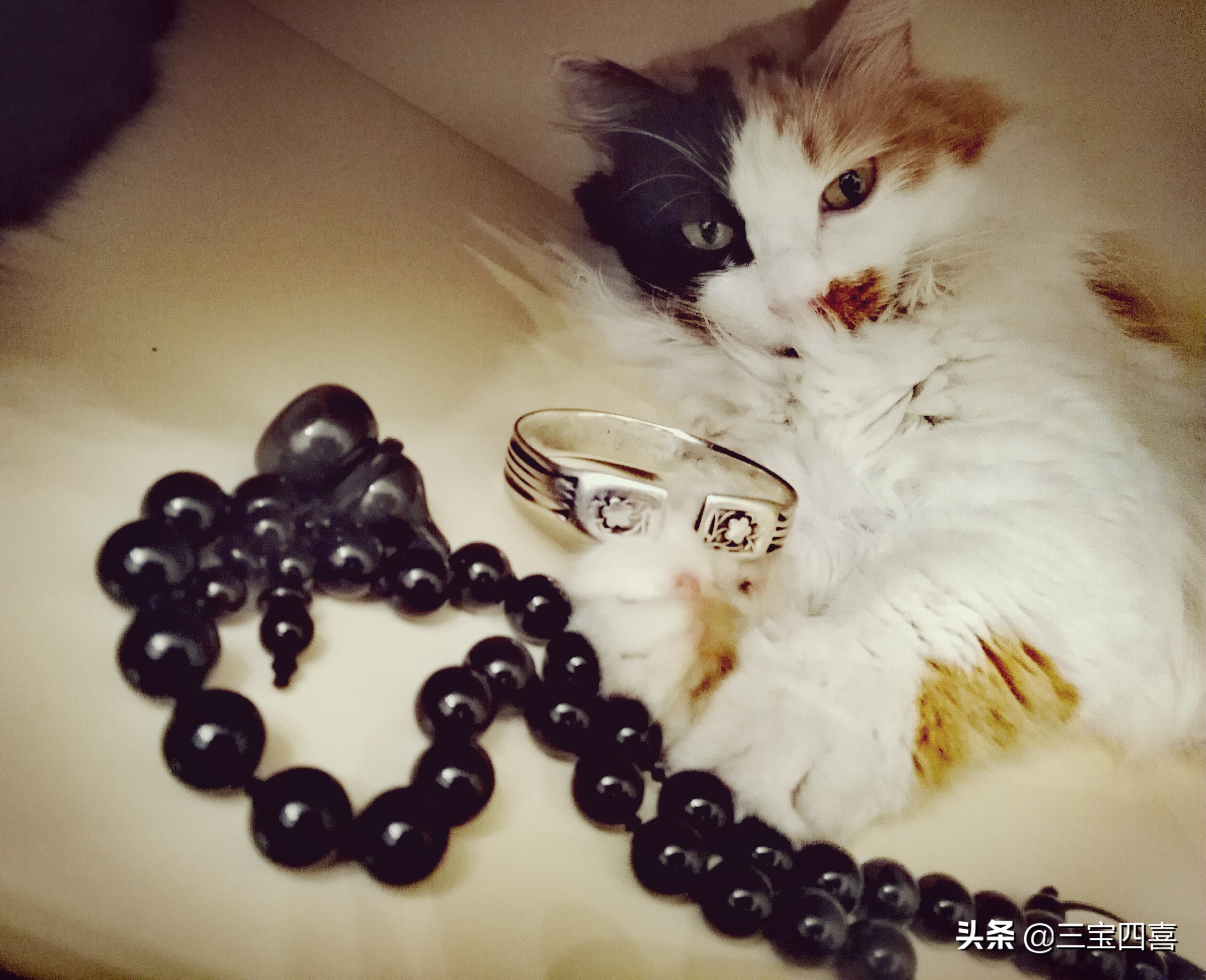 等我有钱了我就买一个金镯子,等我有了钱也去买个大金镯子