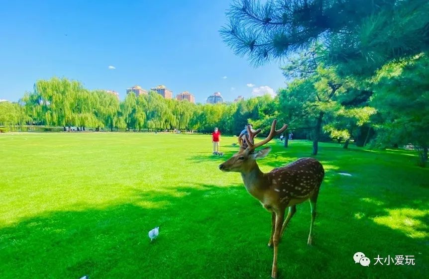 北京特色小庄园,北京哪的庄园好看又好玩