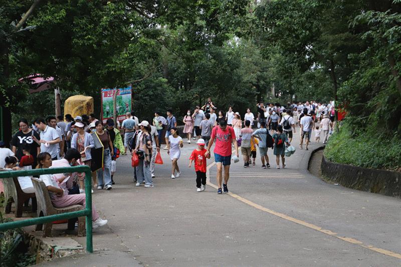 国庆观音山,观音山一日游感受