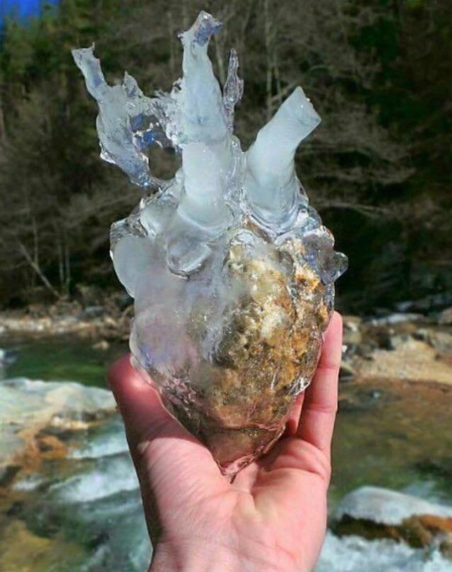 广岛核爆幸存者照片,广岛原子弹爆炸时的真实影像