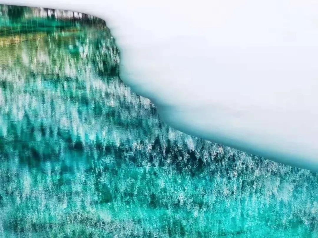 趁春意来赏油菜花海,趁春光去野游