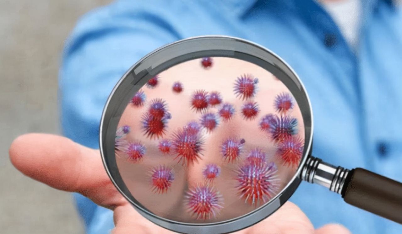 硬性下疳是什么长什么样子