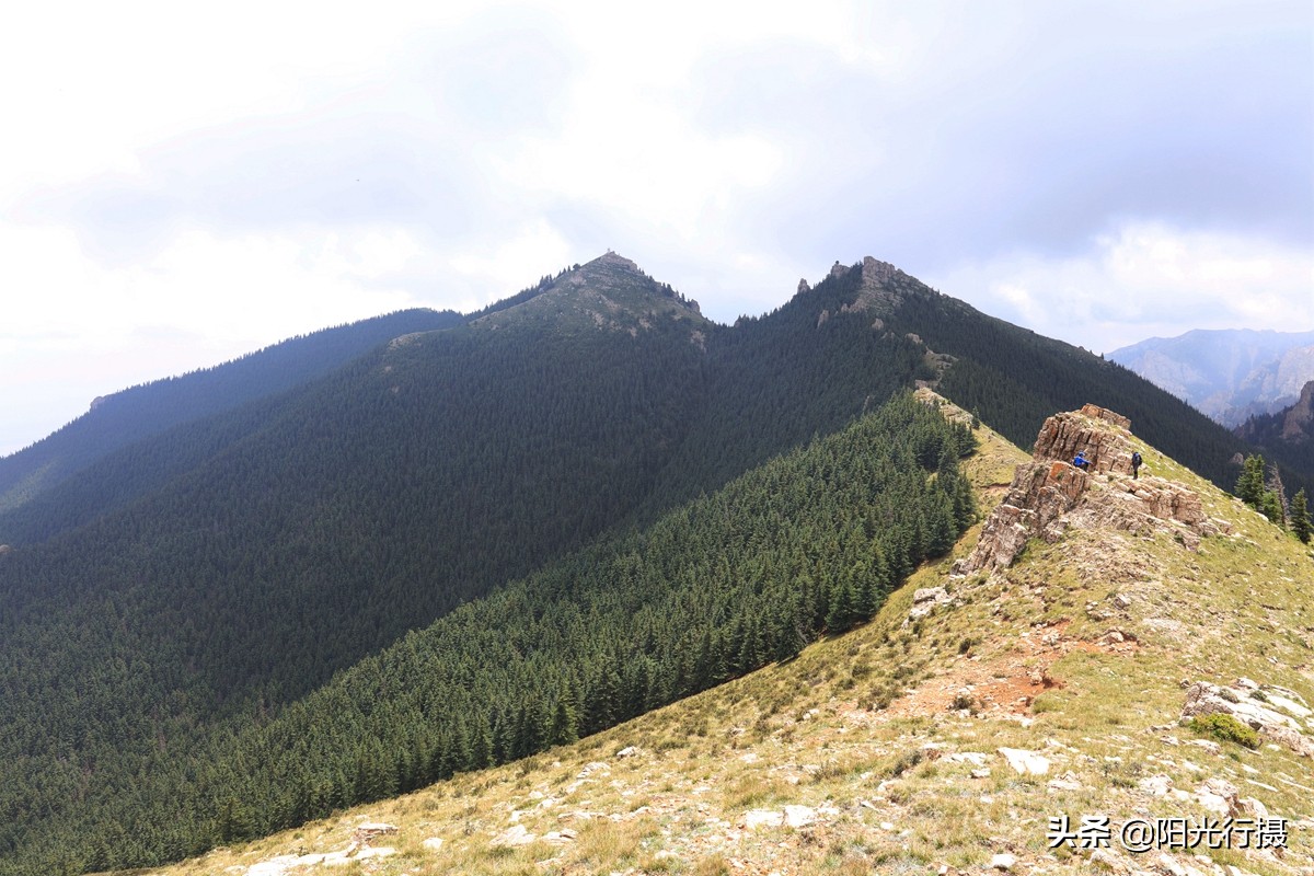静谧森林和沙漠交界处,静谧森林红色石头