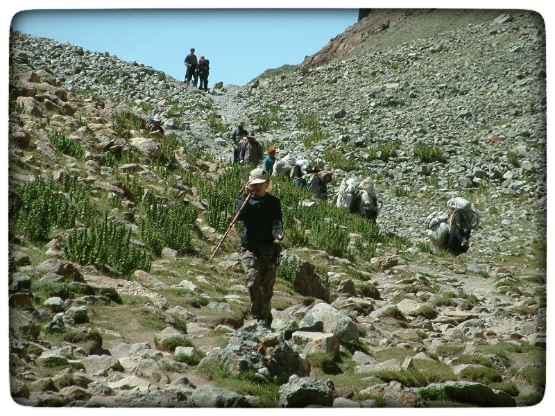 小普陀|转山——冈仁波齐，我蒙昧开悟的心神