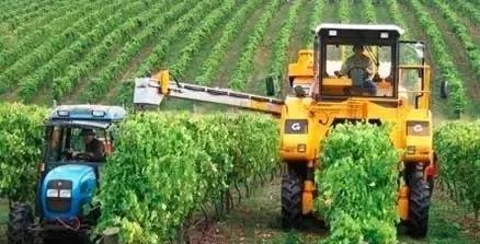 土壤对健康有害吗,土壤的危害与改善