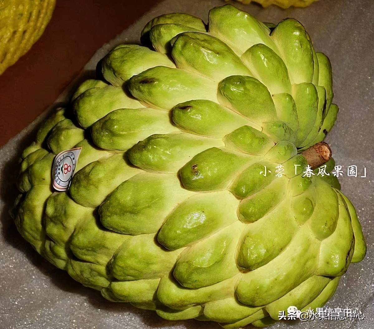 目前释迦最好的品种,粉色释迦