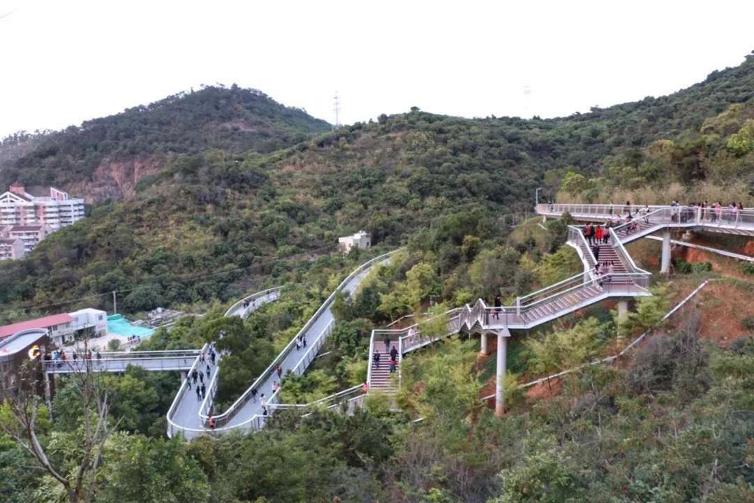 一年四季都暖和城市,厦门是一座四季如春的城市