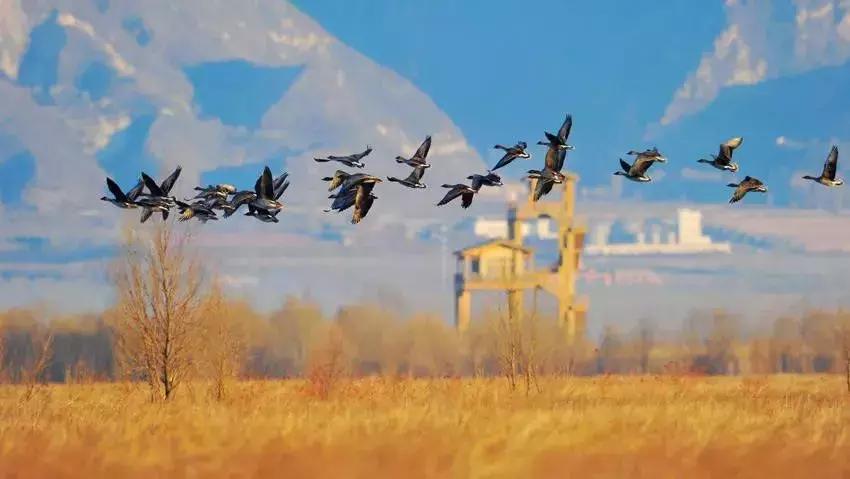 北京小众湿地公园免费,北京周边湿地公园