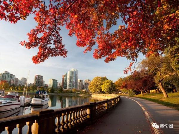 全球幸福指数排名是哪个国家,2023年全球幸福指数前十国家