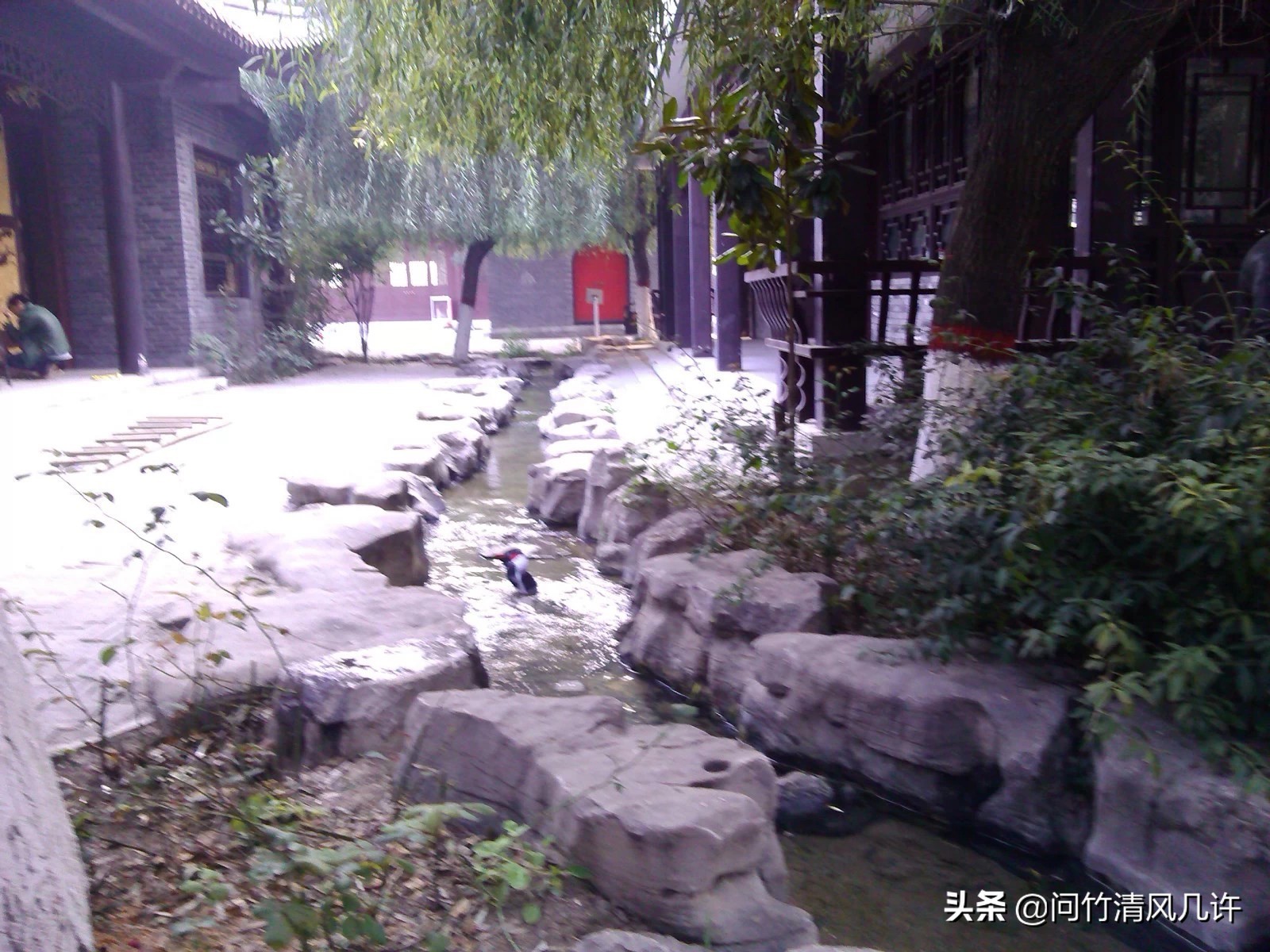 滕州历史文化古城,滕州古城在什么地方