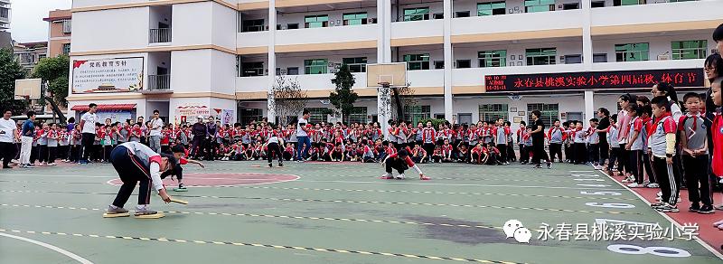 动起来，桃溪少年！——泛阳光体育之舟，展桃溪学子风采