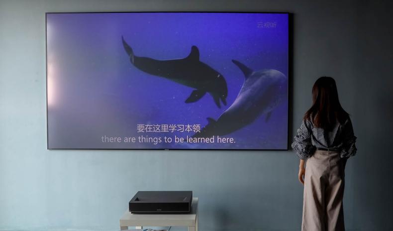 王思聪小米手机,王思聪手机小米