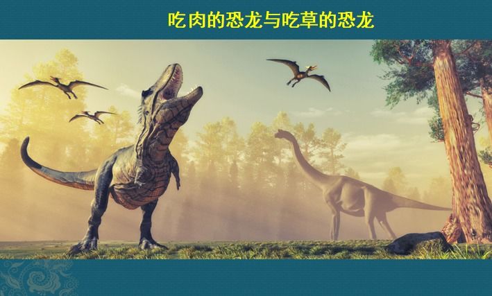 这个细菌提醒你，别买病死的鱼，它是个吃草的细菌，后来学会吃鱼