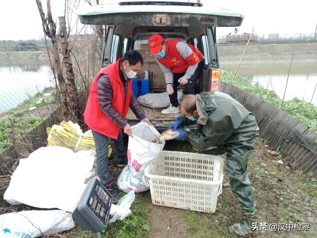 一位纪检干部的家书,纪检监察干部一封家书