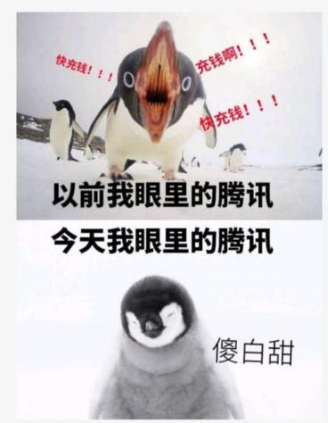 腾讯“企鹅”被骗1600万假辣椒酱，发视频哭惨，是真憨还是假憨？