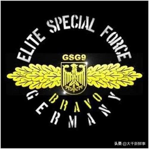 世界十大经典特种作战,世界十大特种部队战绩极为经典