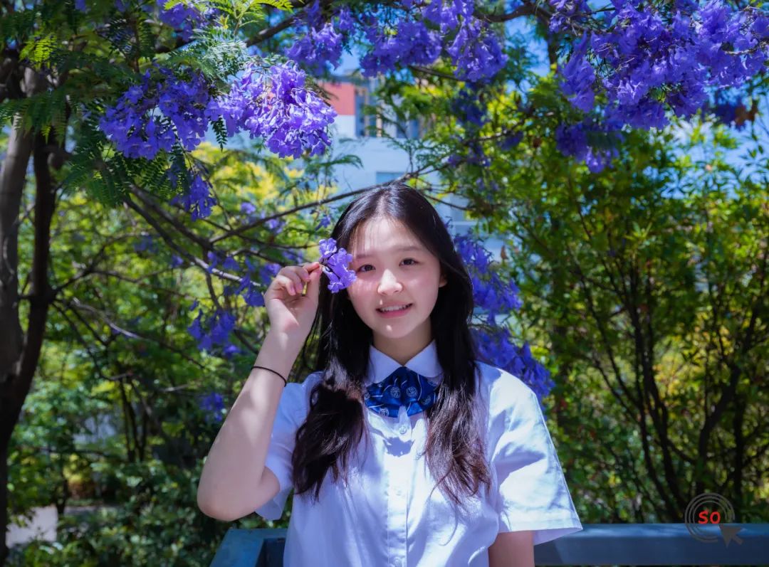 校园|遇见.初夏属于十中的紫色烂漫