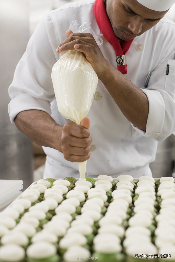 邮轮游选择哪个游轮好,邮轮旅游全攻略公主号