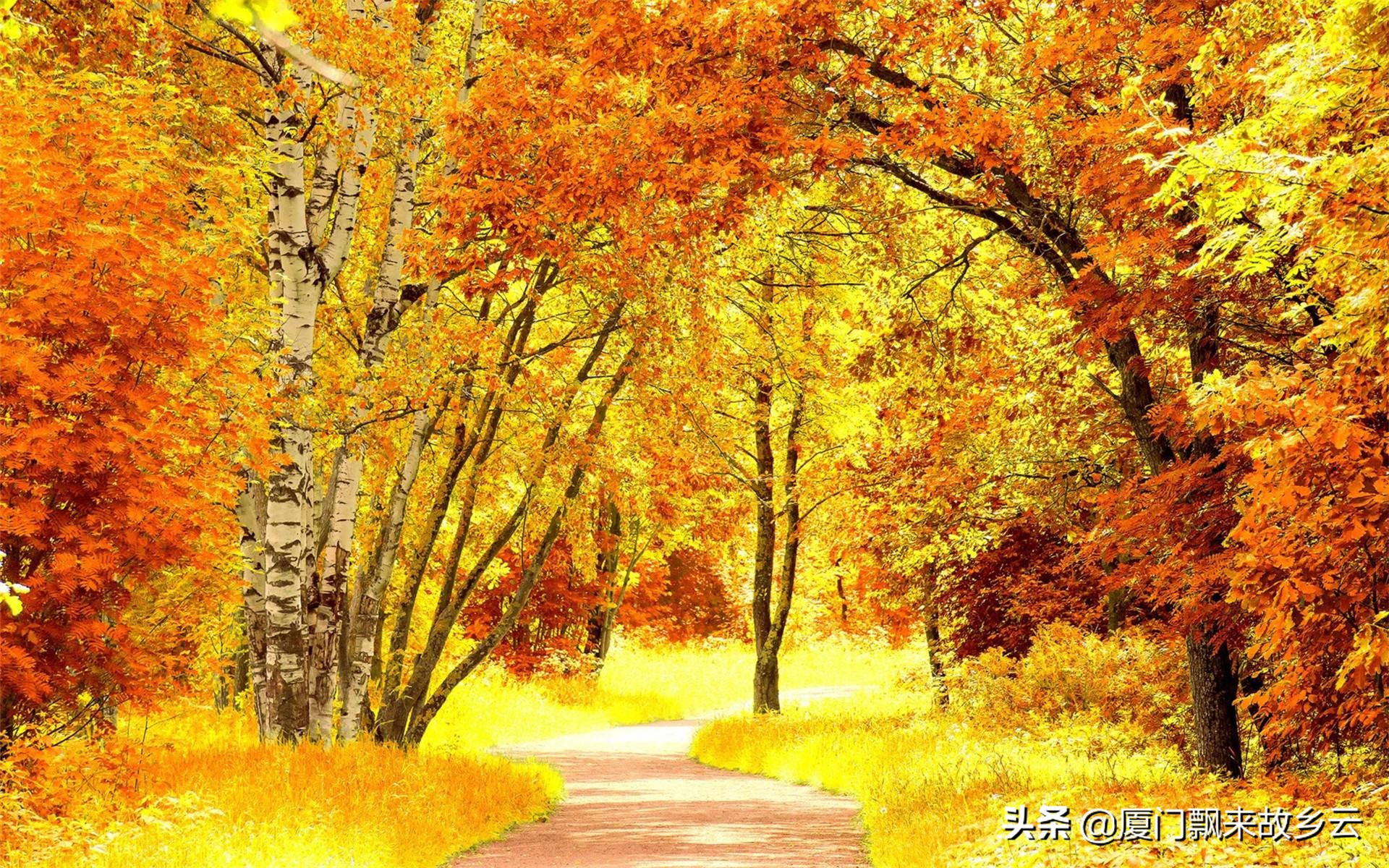 繁丽已远逝，知音系情痴。红楼多别梦，长歌君当知