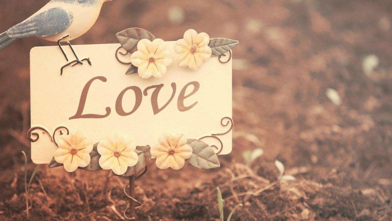 聪明女人投资自己,什么样的投资适合自己