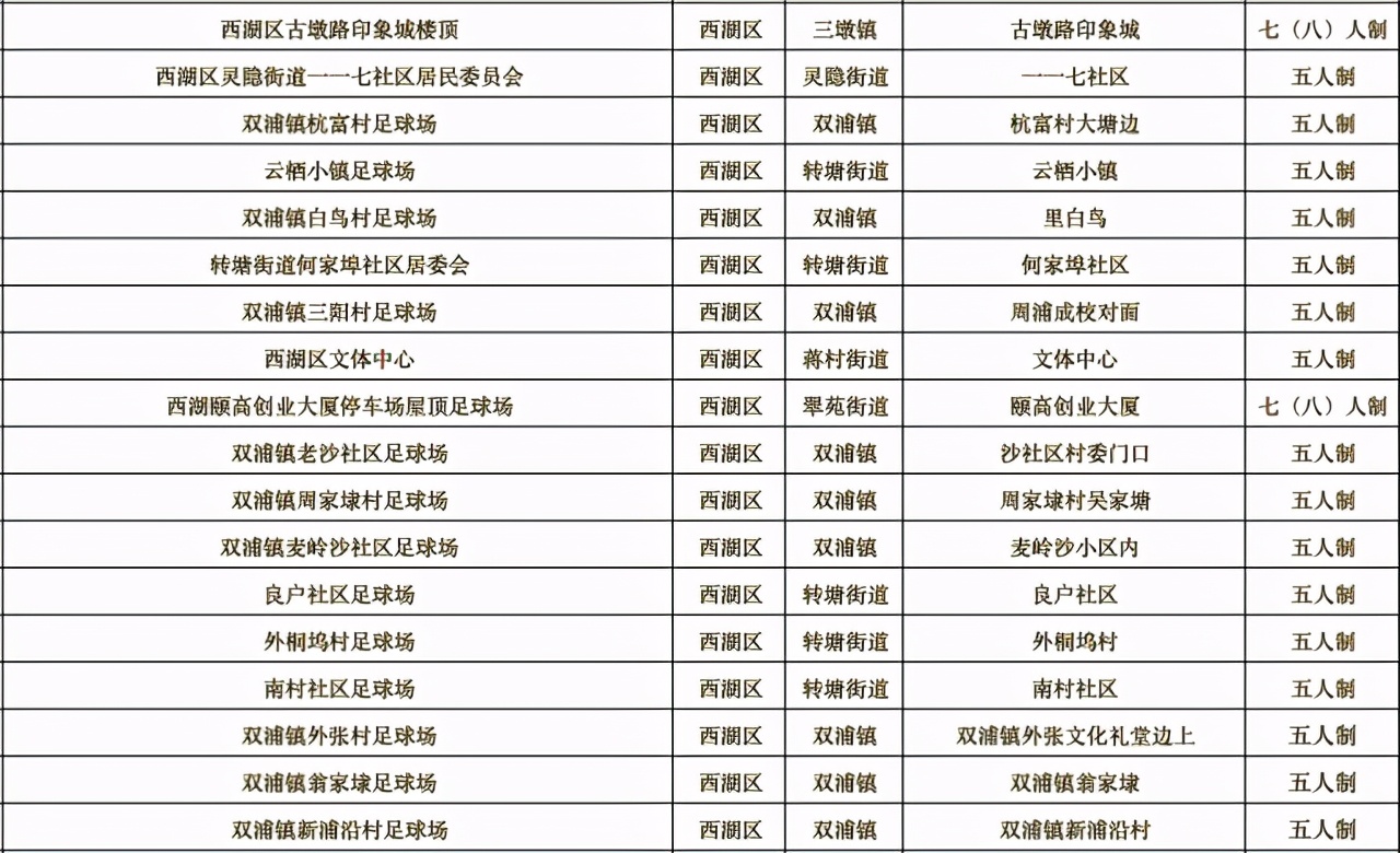 杭州亚运足球场地,杭州有没有标准的足球场