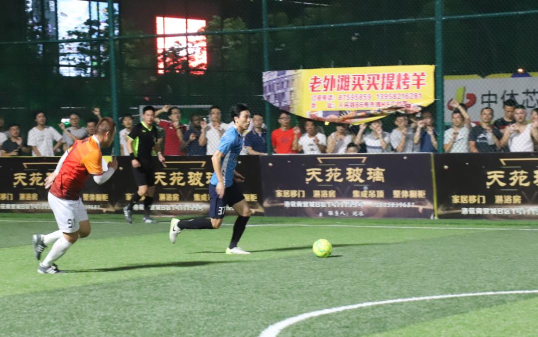 海曙好美秋千成为新科冠军！“宁波晚报杯”成人组圆满落幕