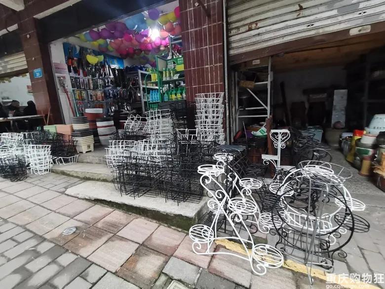 渝北区狗儿市场有卖猫的吗,渝北狗儿市场买狗