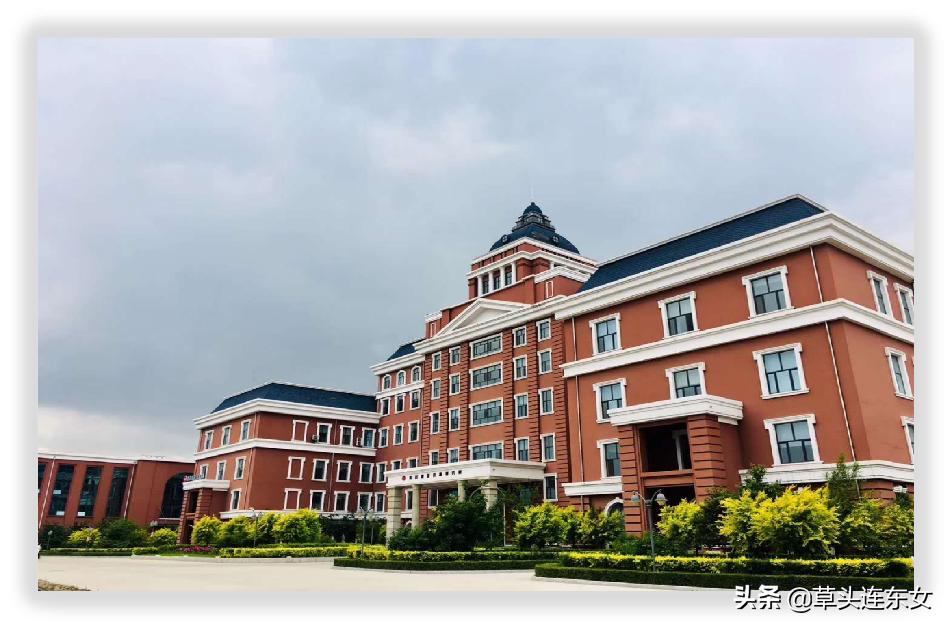 黑龙江财务共享,哈药集团财务共享