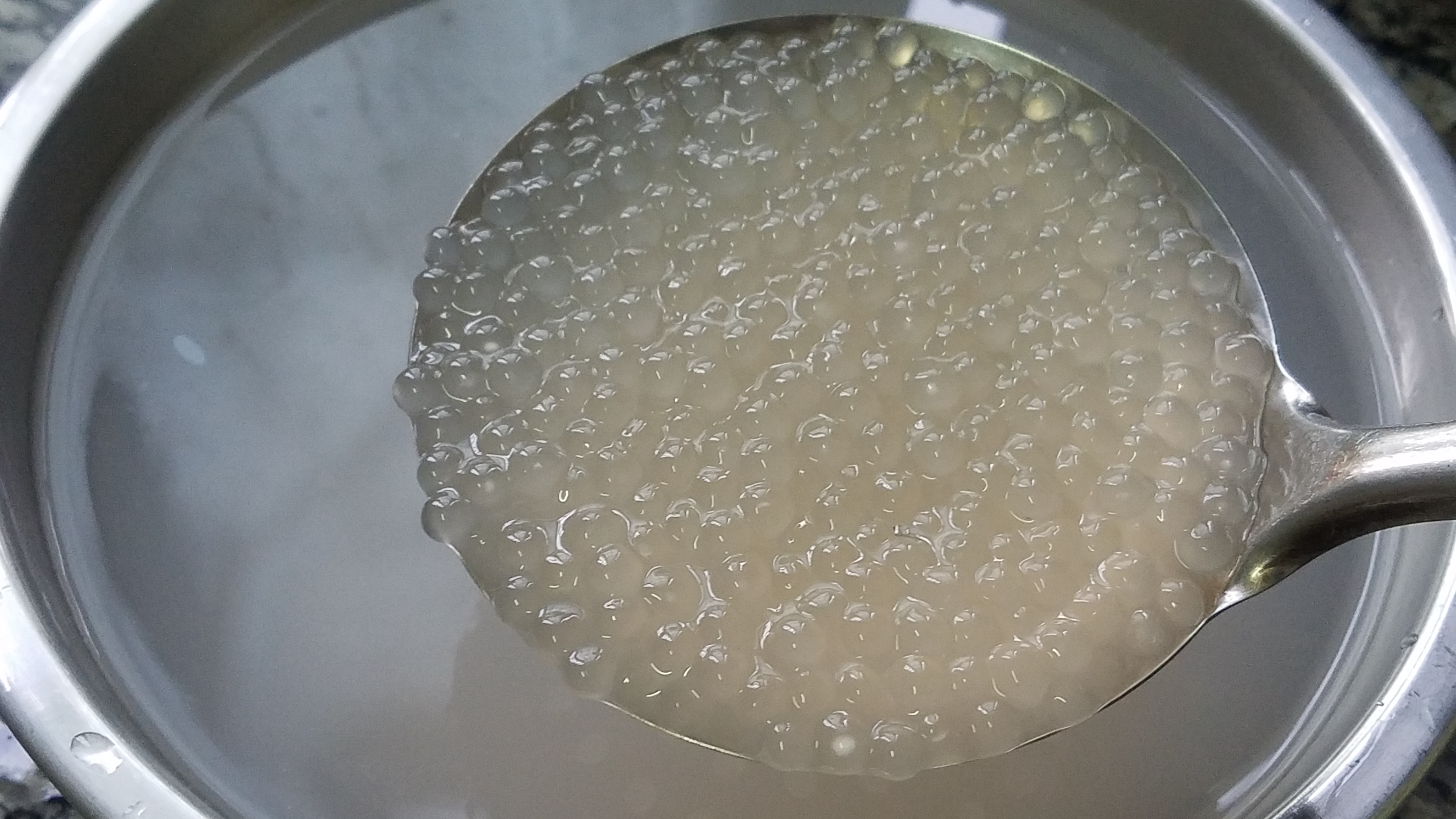 自制冰镇芒果西米露夏日清爽必备,木瓜西米露牛奶冷饮的做法