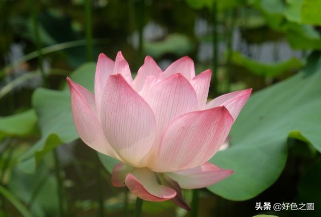 最好的微距拍摄方法,微距摄影环