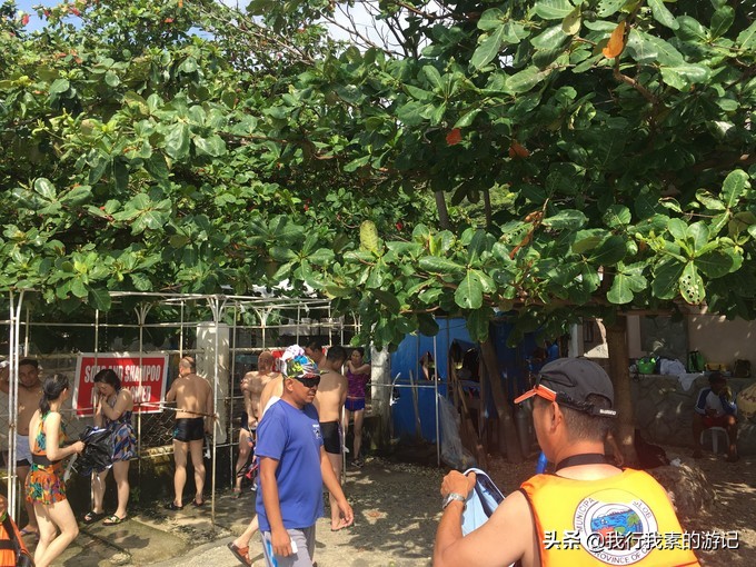 想去看鲸鲨？这里可以满足你