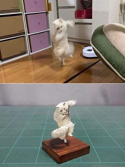 动物沙雕表情包搞笑,沙雕模仿动物表情包