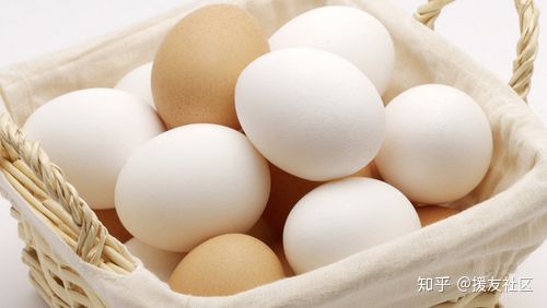 补眼食疗,多吃有益于眼的食物