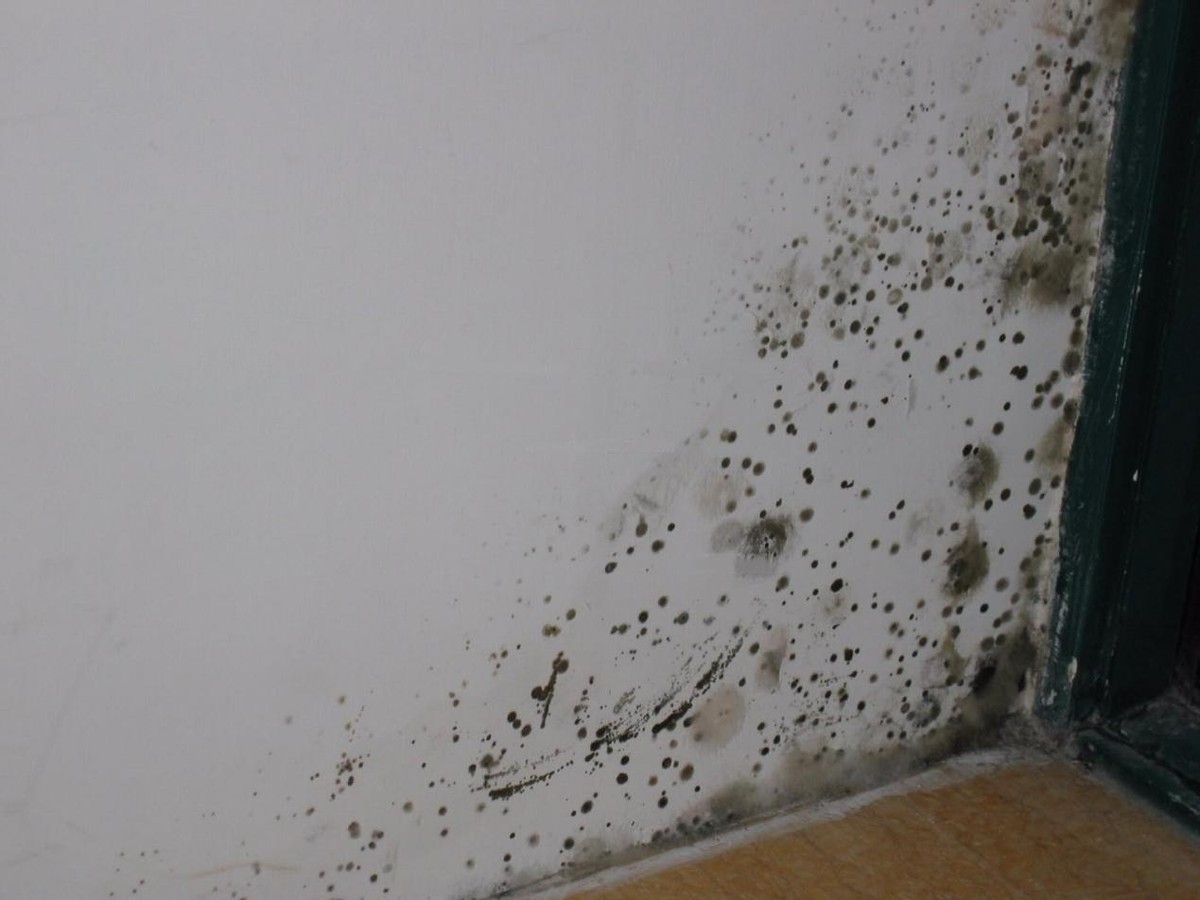 房间墙壁发霉有什么补救方法,房间墙体发霉怎么处理最有效