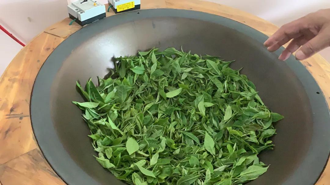 这帮人五一用爱心启航，一起为广西凌云大山的孩子点燃艺术之梦！