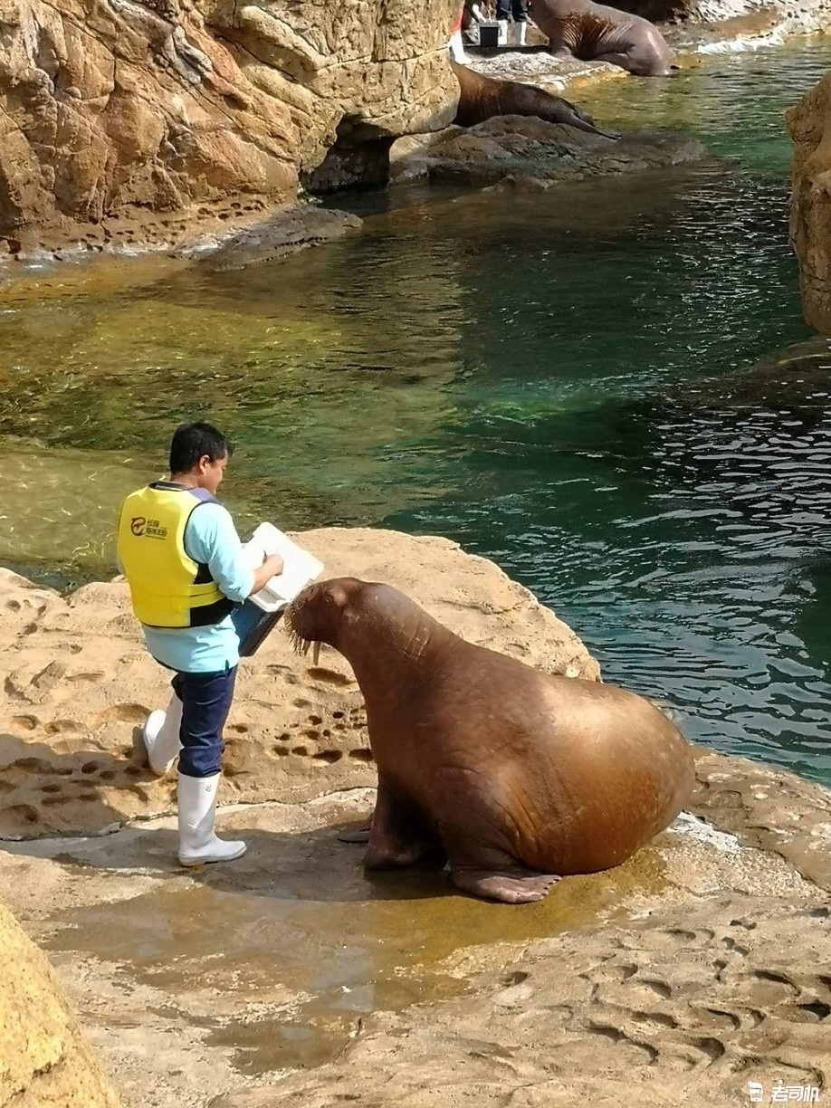 珠海长隆海洋王国亲子游攻略,珠海长隆海洋王国攻略亲子游