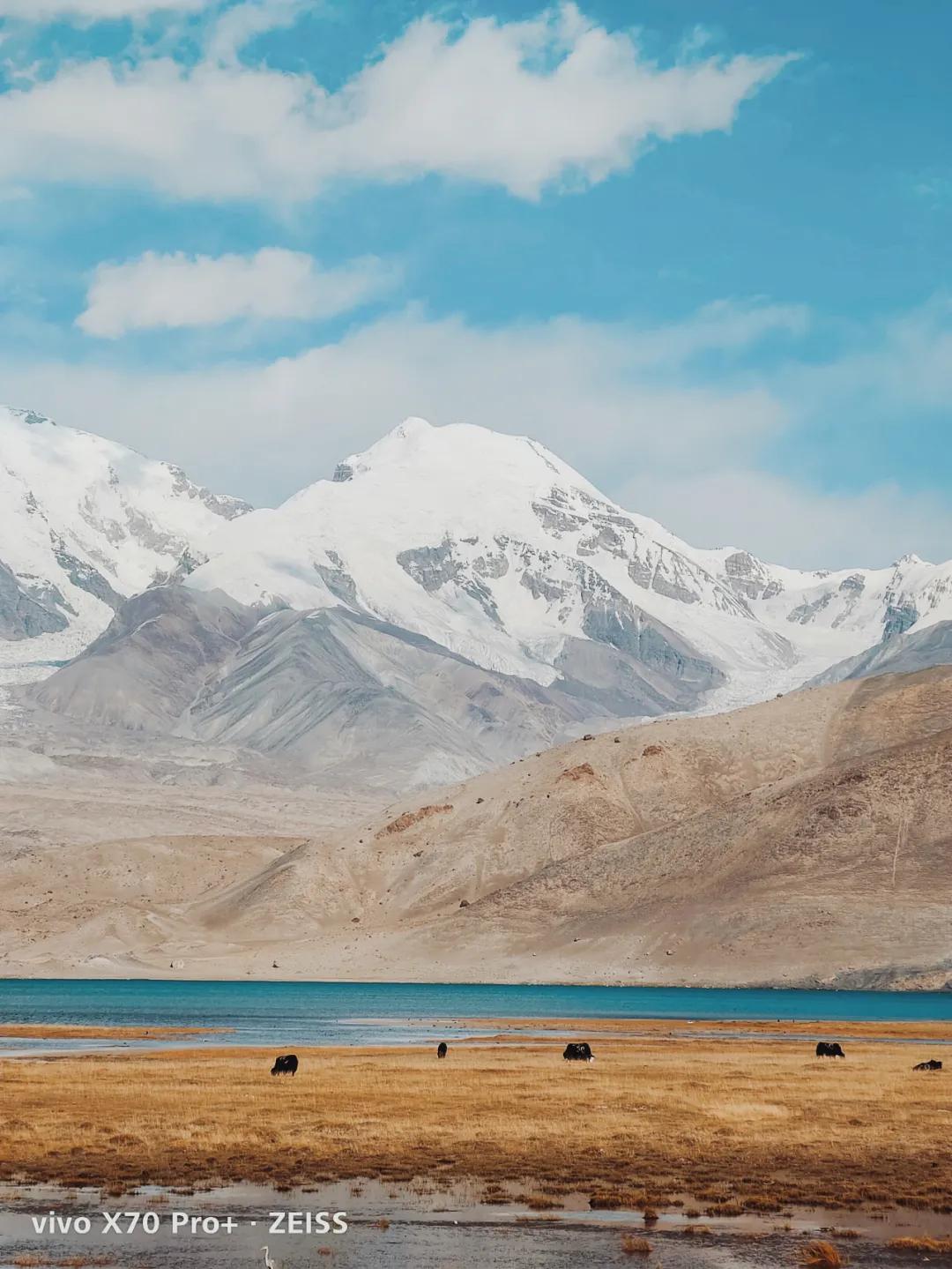 vivo手机自带相机怎么拍视频好看,零基础学会vivo手机拍照技巧