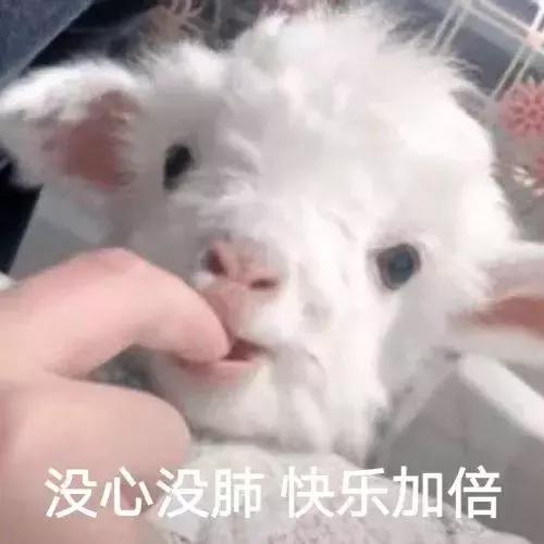 100元和500元的高跟鞋,100元的鞋和500元的鞋差距