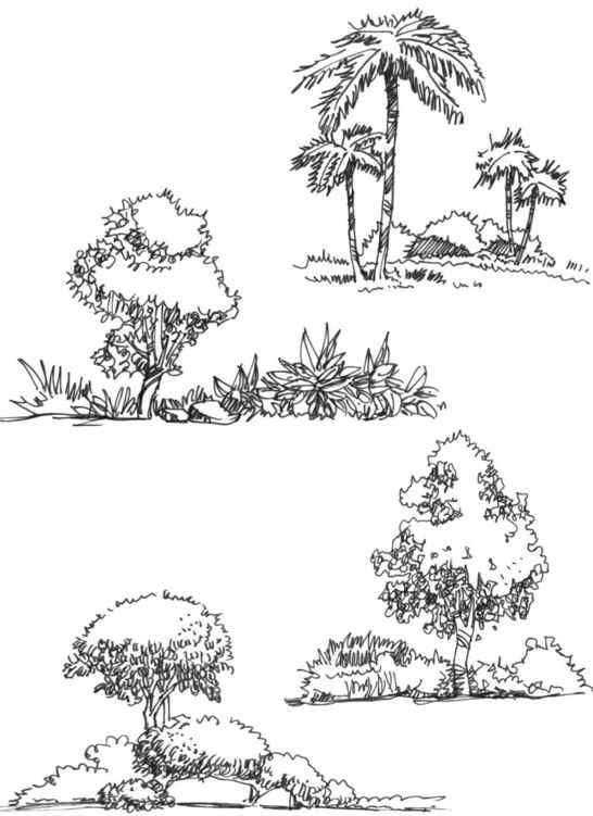 零基础如何快速学会画速写,速写不会画就画大卫